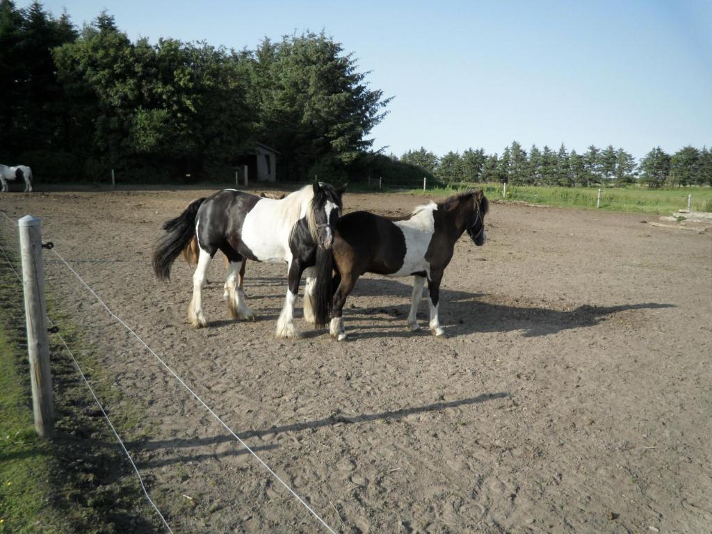 Séjour à la ferme Lille *