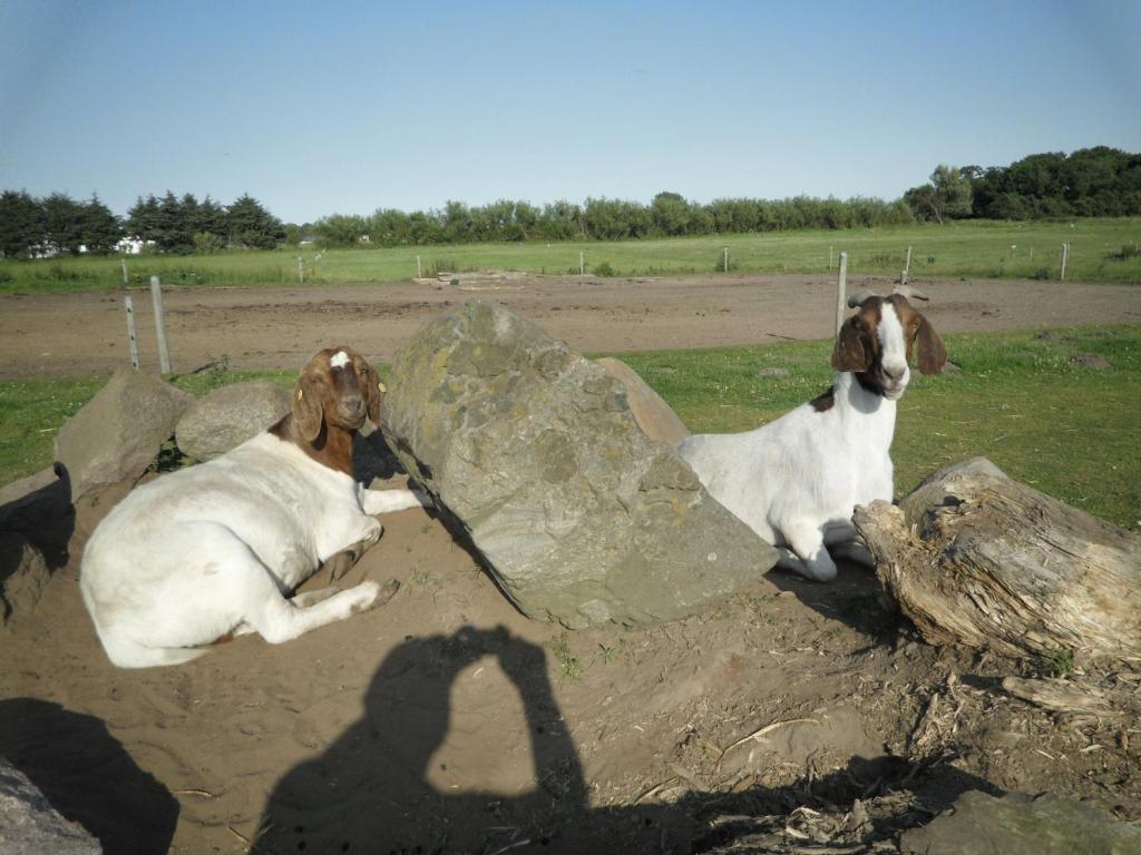 Séjour à la ferme Lille